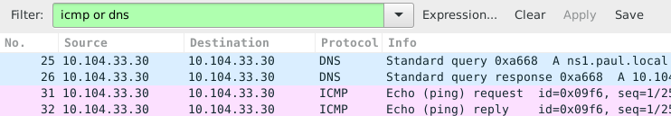 Перехват трафика, генерируемого утилитой ping и клиентом dns