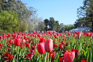 Фото с Floriade 2002