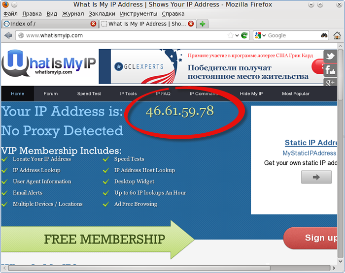 Сервис What Is My IP