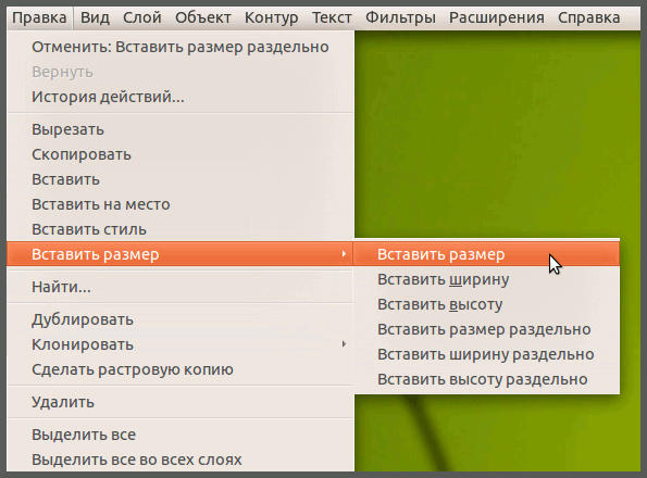 Вложенное подменю Вставить размер