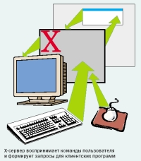 X-сервер воспринимает команды пользователя и формирует запросы для клиентских программ