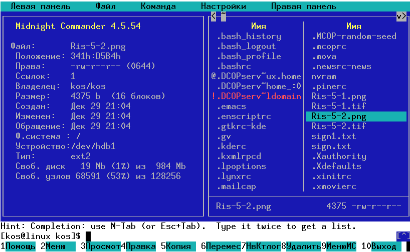 Midnight Commander. Рис.6.3. Режим "Информация"