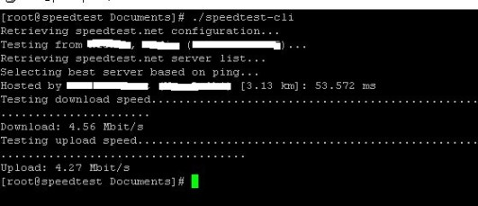 Запуск скрипта speedtest-cli