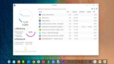 Deepin System Monitor